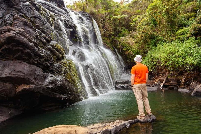 Nuwara Eliya to Horton Plains, Strawberry& Ambewela Farm TUK - Baker’s Falls adds water and forest to the walk