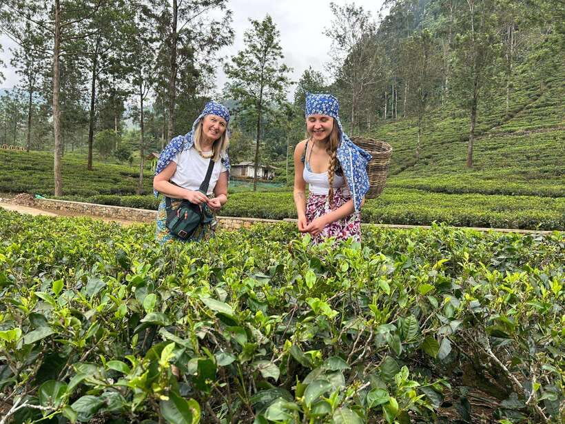 Nuwara Eliya Tuk-Tuk Tour Tea Picking,Tasting &Ramboda Falls - Why this tuk-tuk route works so well