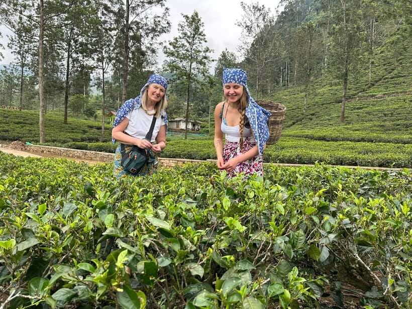 Nuwara Eliya Tuk-Tuk Tour Tea Picking,Tasting &Ramboda Falls - Timing, pace, and the three-factory question