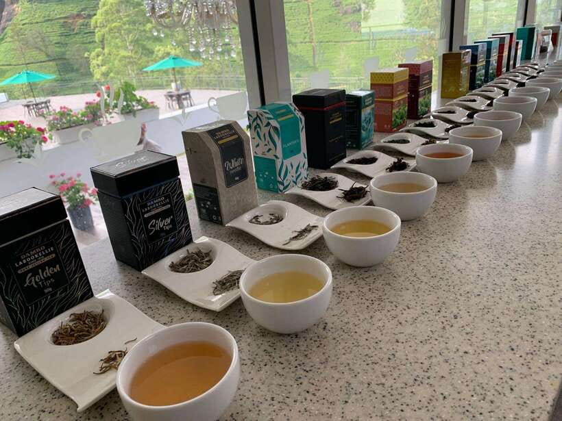 Nuwara Eliya Tuk-Tuk Tour Tea Picking,Tasting &Ramboda Falls - What the extra costs really mean