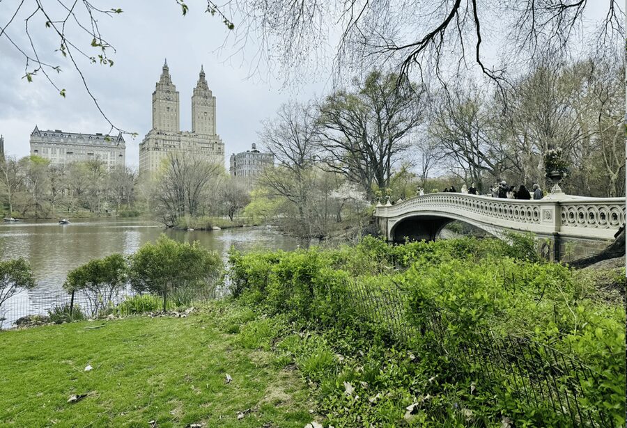 NYC: Central Park Rickshaw Tour / Private and Guided - Bow Bridge, one of the park’s best photo stops