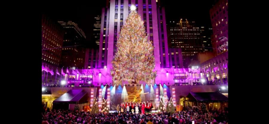 NYC Christmas Lights Tour: Heated Rickshaw Ride - Key points to know before you book