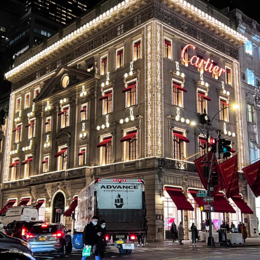 NYC Christmas Lights Tour: Heated Rickshaw Ride - Who will enjoy this most