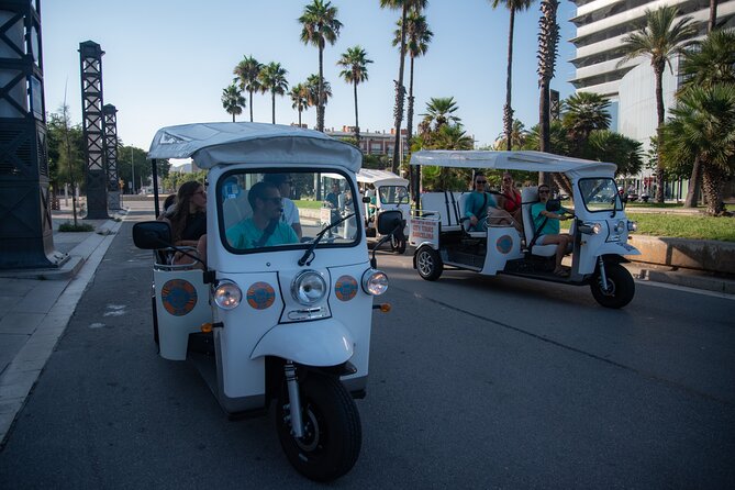 Official Tuk Tuk BCN l Barcelona 2 Hours City Tour - Olympic Port and Barceloneta