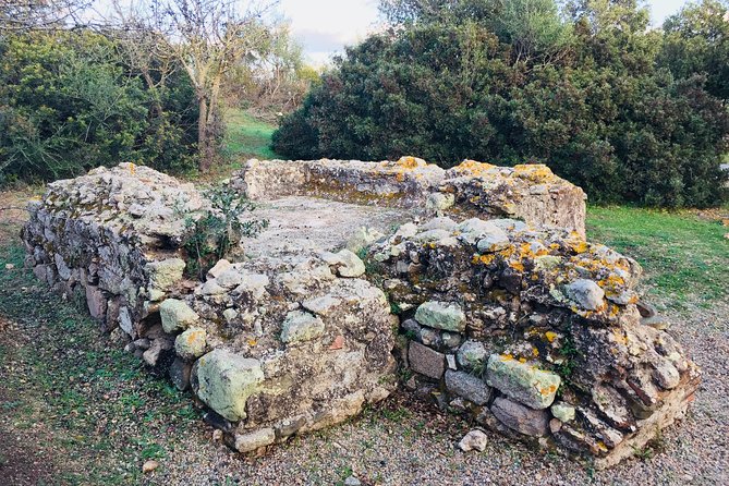 Olbia : Tuk-Tuk Tour – Ancient Treasures of Sardinia + pickup - Price, timing, and what you actually get