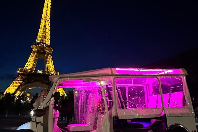 Original Paris E-TukTuk Tour - The bridge, Notre-Dame, and the Seine-side views