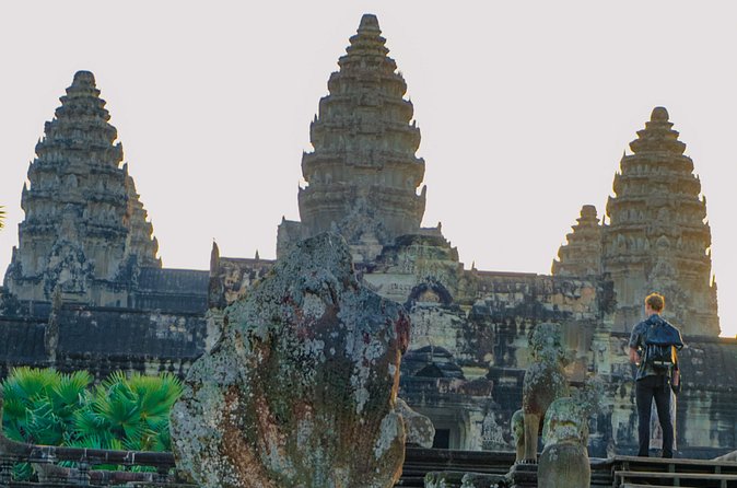 Personalised Angkor Wat Sunrise Tour by TukTuk - Ta Prohm and the trees