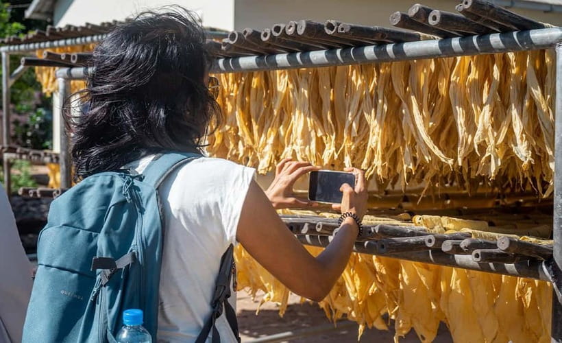 Phnom Penh Haft Day Tour to Silk Island by Tuk Tuk - Is $29 a fair price?