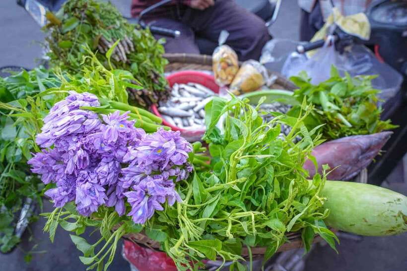 Phnom Penh: Morning Market & Guided Breakfast Tour by Tuktuk - Guide Quality Makes a Noticeable Difference