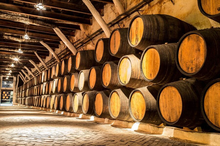 Porto: Tuk-Tuk Tour, Douro River Cruise, and Wine Tasting - Who will get the most from this experience
