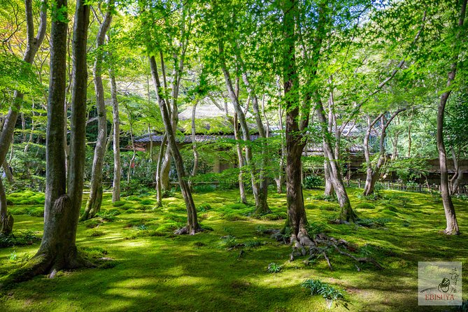 Private 3-hour Kyoto Arashiyama Rickshaw Tour - Otagi Nenbutsu-ji and the playful side of Kyoto