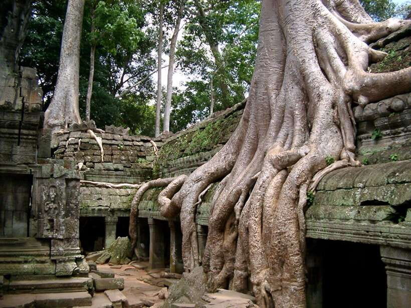Private Angkor Sunrise, Guide Breakfast and Tuktuk included - The Elephant Terrace and its 350 meters of stone