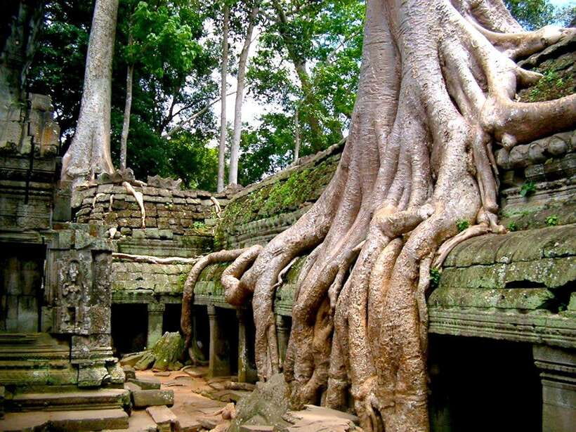 Private Angkor Sunrise, Guide Breakfast and Tuktuk included - Bayon around 11:30 AM
