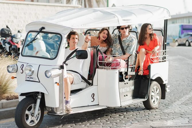 Private E-Tuk Tuk Adventure through Brisbane - New Farm Riverwalk offers the most unusual ride