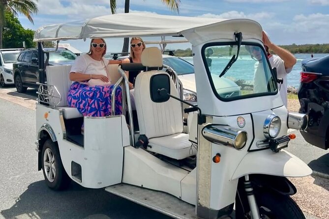 Private E-Tuk Tuk Adventure through Brisbane - Goodwill Bridge and the City Botanic Gardens