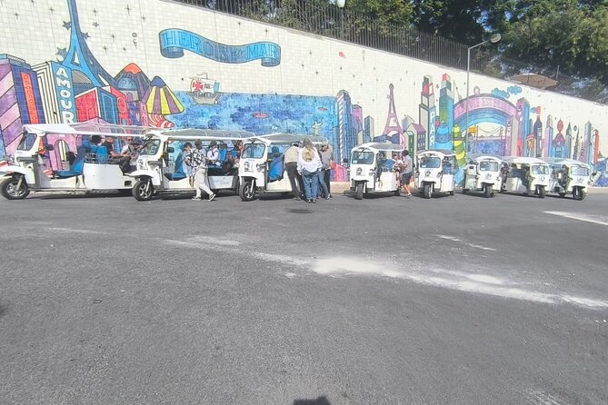 Private Electric Tuk Tuk Adventure in Lisbon - São Vicente de Fora and royal tombs
