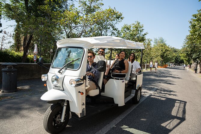 Private Electric Tuktuk Tour of Rome with Prosecco and Pickup - St. Peter’s Basilica from a viewpoint