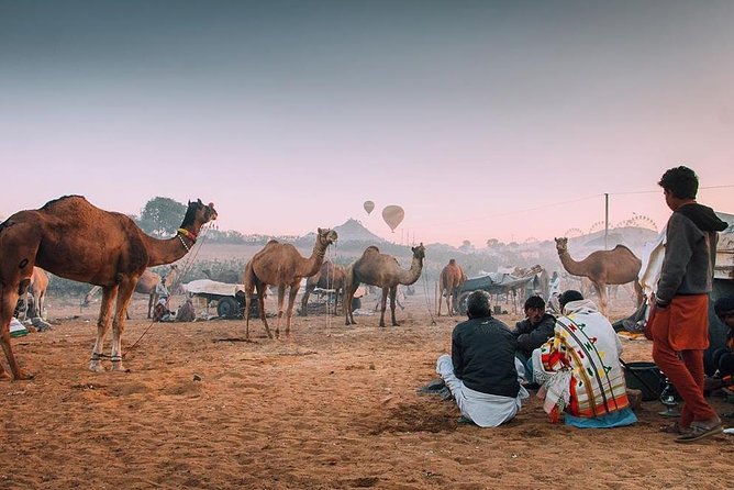Private Full Day Jaipur Sightseeing Tour By Tuk-Tuk (Rickshaw) - Hawa Mahal and Jaipur’s pink streets
