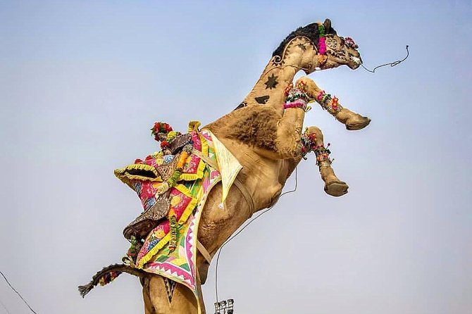 Private Full Day Jaipur Sightseeing Tour By Tuk-Tuk (Rickshaw) - City Palace and Jaipur’s royal center
