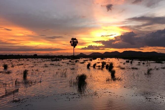 Private Full Day Tuk Tuk Tour in Battambang - Rice paper and spring rolls by hand