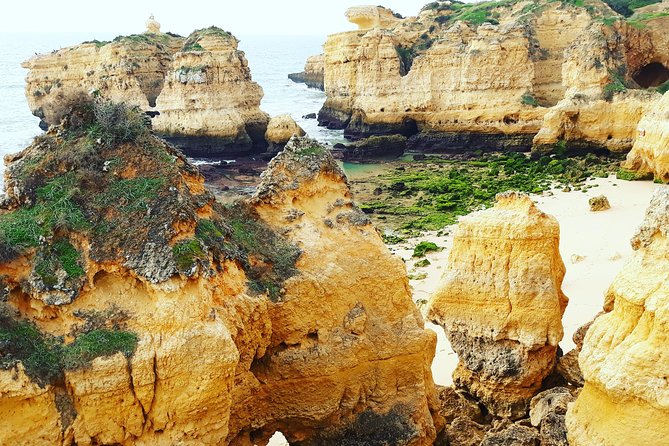 Private Guided Tuk-Tuk Tour with Pick-Up and Drop-Off of Albufeira - Who will get the most from this ride