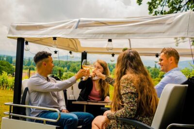 Private Highlights Top Places Tour Electric TukTuk 1h15