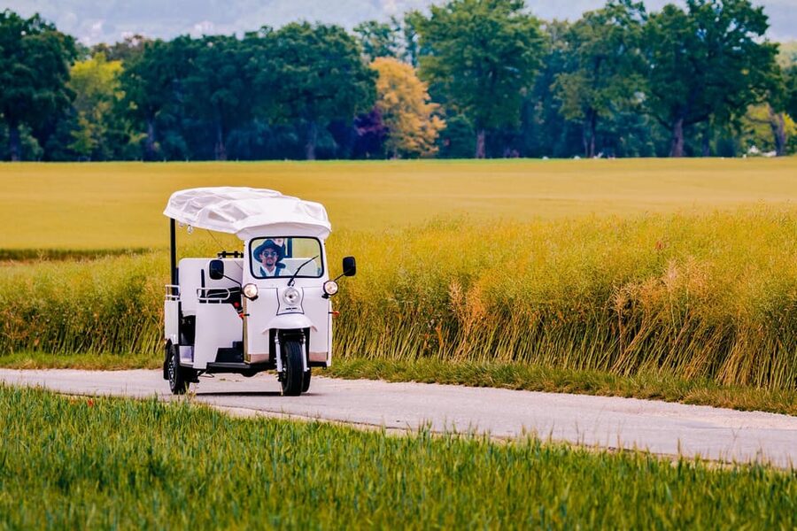 Private Highlights Top Places Tour Electric TukTuk 1h15 - Saint-Pierre Cathedral and Geneva’s Old Town