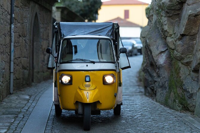 Private Port: Tuk Tuk and boat with local guides - Afurada and the Arrábida Bridge