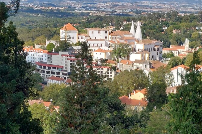 Private Tour Sintra, Palaces and Mountain Tuk Tuk(2 to 6 people) - Starting with a queijada in Sintra village