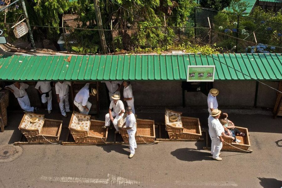 Private tour:Tuk Tuk Ride to Monte Funchal Toboggans - Who will enjoy this private tour most?