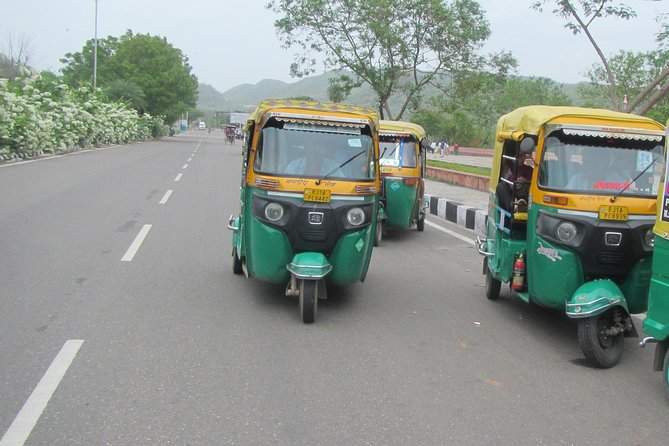 Private Tuk-Tuk Tour of Jaipur with Guide - Amber Fort is the day’s major outing