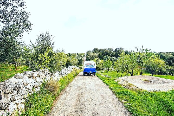 Private Tuk Tuk Tour of the Millenary Olive Groves in Ostuni - From Ostuni’s piazza to the Via Traiana