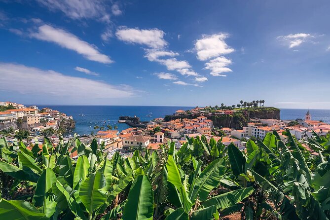 Private Tuk Tuk Tour on Câmara de Lobos, Fishing Village - A compact way to see the coast west of Funchal