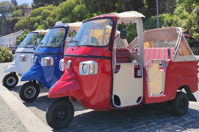 Private Tuk Tuk Tour to Old Town + Monte in Funchal - Old Town sights and local flavor