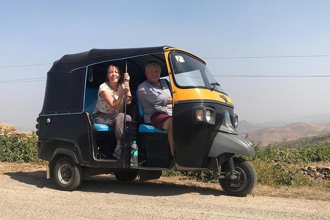 Private Udaipur Sightseeing Tour by Tuk-Tuk or Car with Driver - Jagdish Temple and Lake Pichola