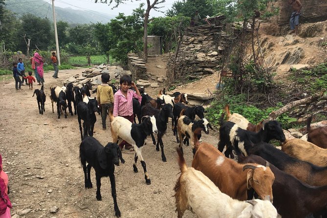 Private Udaipur Village Tour by Tuk-Tuk or by Car - Why this Udaipur day trip feels different