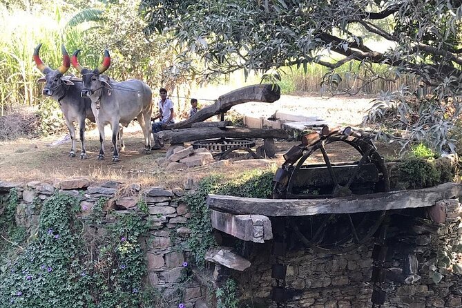 Private Udaipur Village Tour by Tuk-Tuk or by Car - Tuk-tuk or car: which is better?