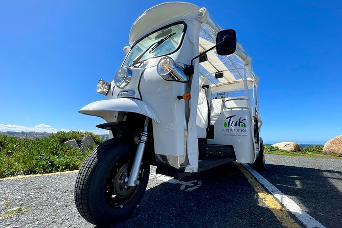 Private VIP Tour in Tuk Tuk Cadiz - San Carlos walls, the Parador, and Santa Catalina Castle