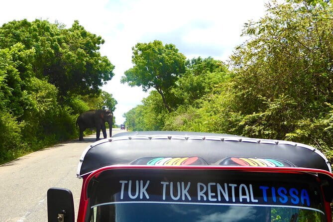 Rent a Tuk Tuk & Explore - What Happens Before You Set Off