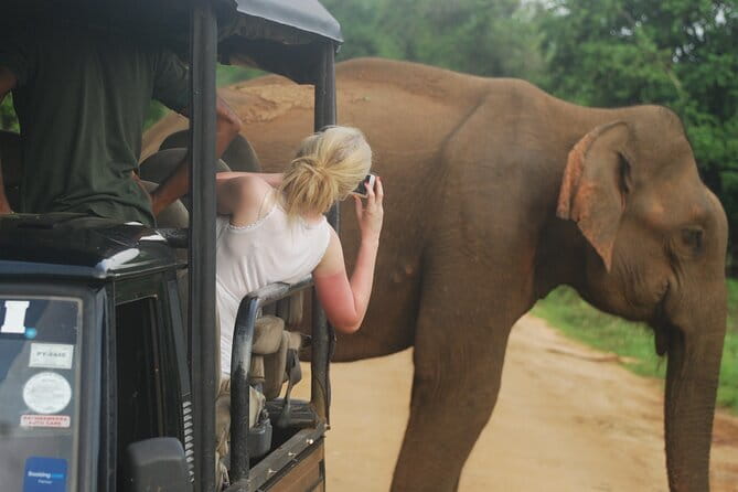 Rent a Tuk Tuk & Explore - Who Will Enjoy This Rental Most