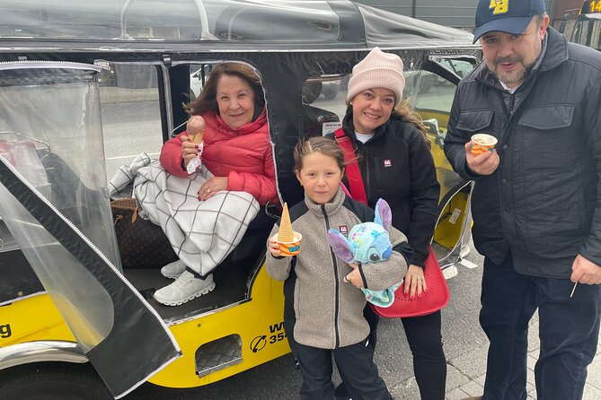 Reykjavík Shared Tuk Tuk Tour - Harpa and Reykjavík Harbor