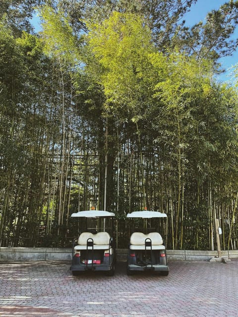 Rome City Sightseeing by Golf Cart Or Tuk Tuk (Private) - Circus Maximus and Rome’s open spaces