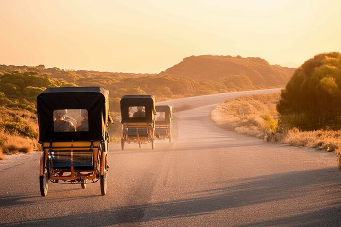 Rottnest Island 90-minute E-Rickshaw Adventure with Tour Guide - What the guide adds to the ride