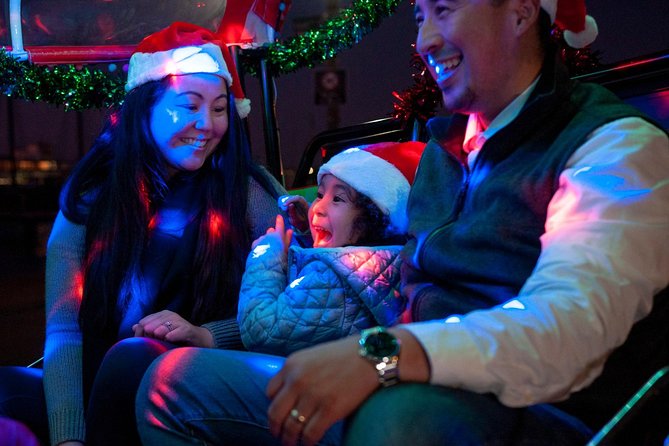 San Francisco Holiday Season Private Tour - Lucky Tuk Tuk - Union Square without the parking headache