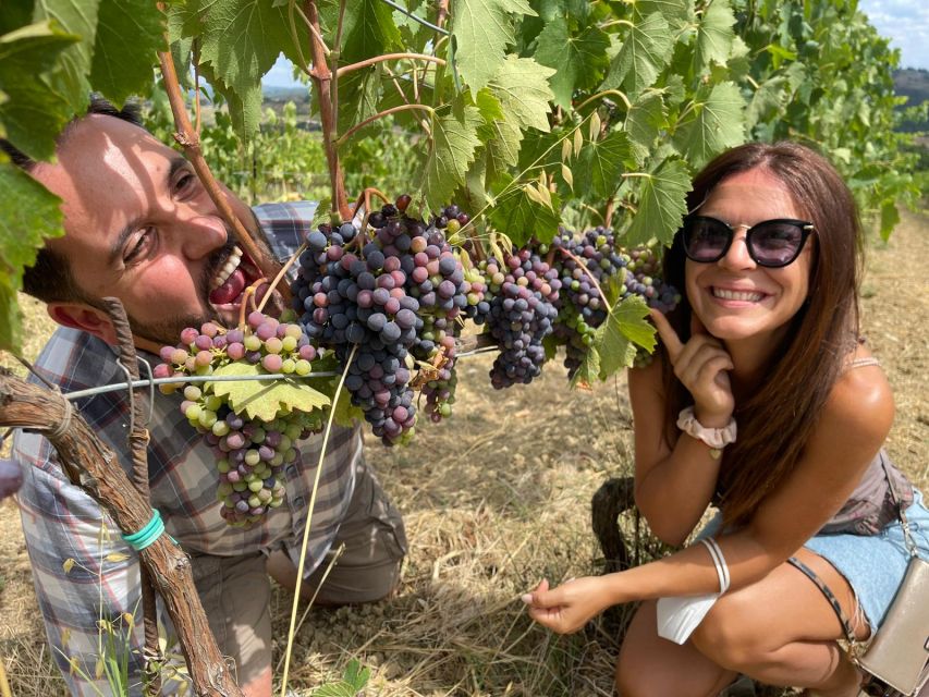 San Gimignano: Chianti Hills Tuk-Tuk Tour for 2 - Is this Chianti tuk-tuk tour worth booking?