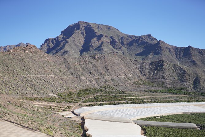 Secret Volcano Tour by Tuk Tuk in Costa Adeje - Is $29.04 good value?