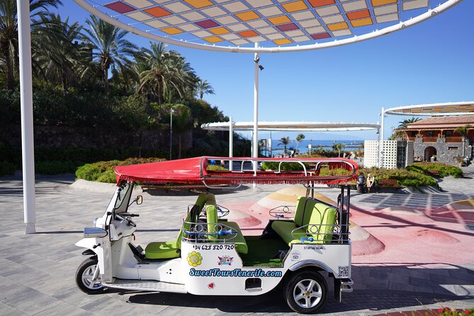 Secret Volcano Tour by Tuk Tuk in Costa Adeje - Banana plantations and the part you need to understand