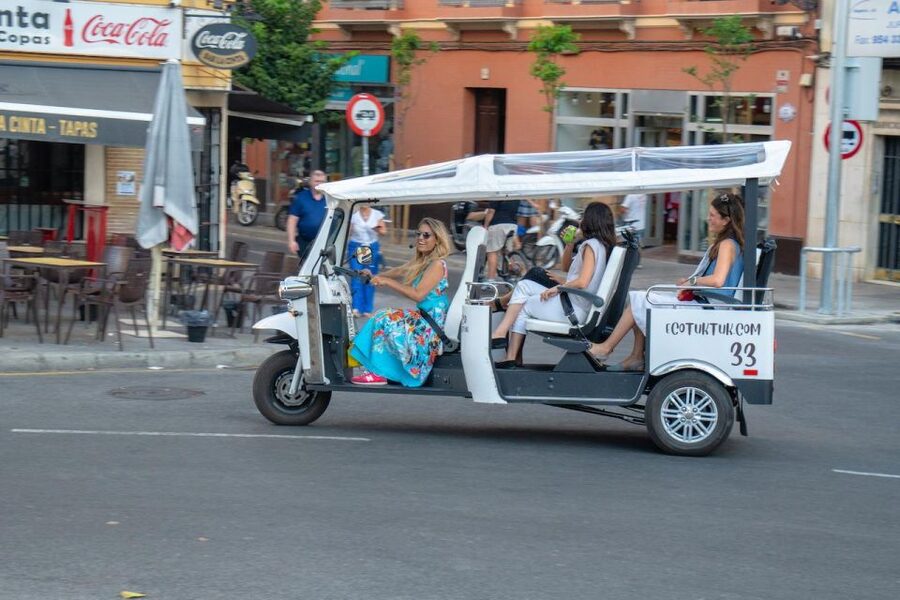 Seville: Private City Tour by Eco Tuk Tuk - The two-hour option and the Cartuja area