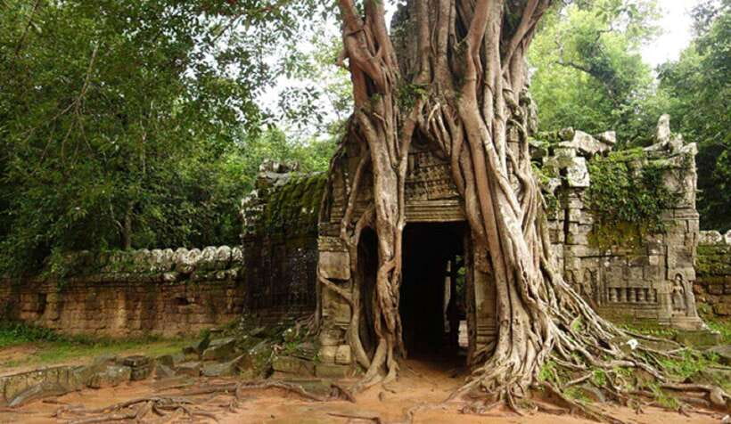Siem Reap: Grand Circle Temples Tour With Private Tuk-Tuk - What the tuk-tuk service is really like