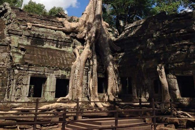 Siem Reap Morning Market & Food Tour by Tuk Tuk - Nom banh chok at Phum Num Banh Chok